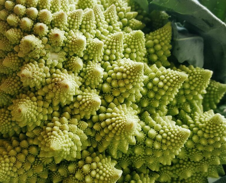 Vegetable Spirals