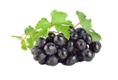 GRAPE-PNG.png