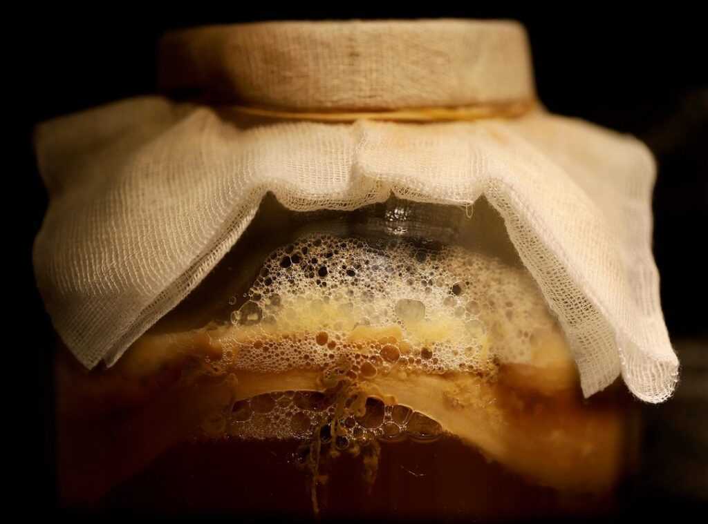 fermentation science techniques