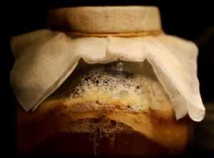 fermentation science techniques
